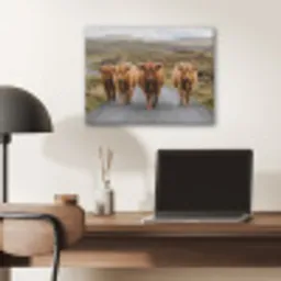 Schotse Hooglanders - Weg - Landschap - Kudde PET vilt klein -sfeer5