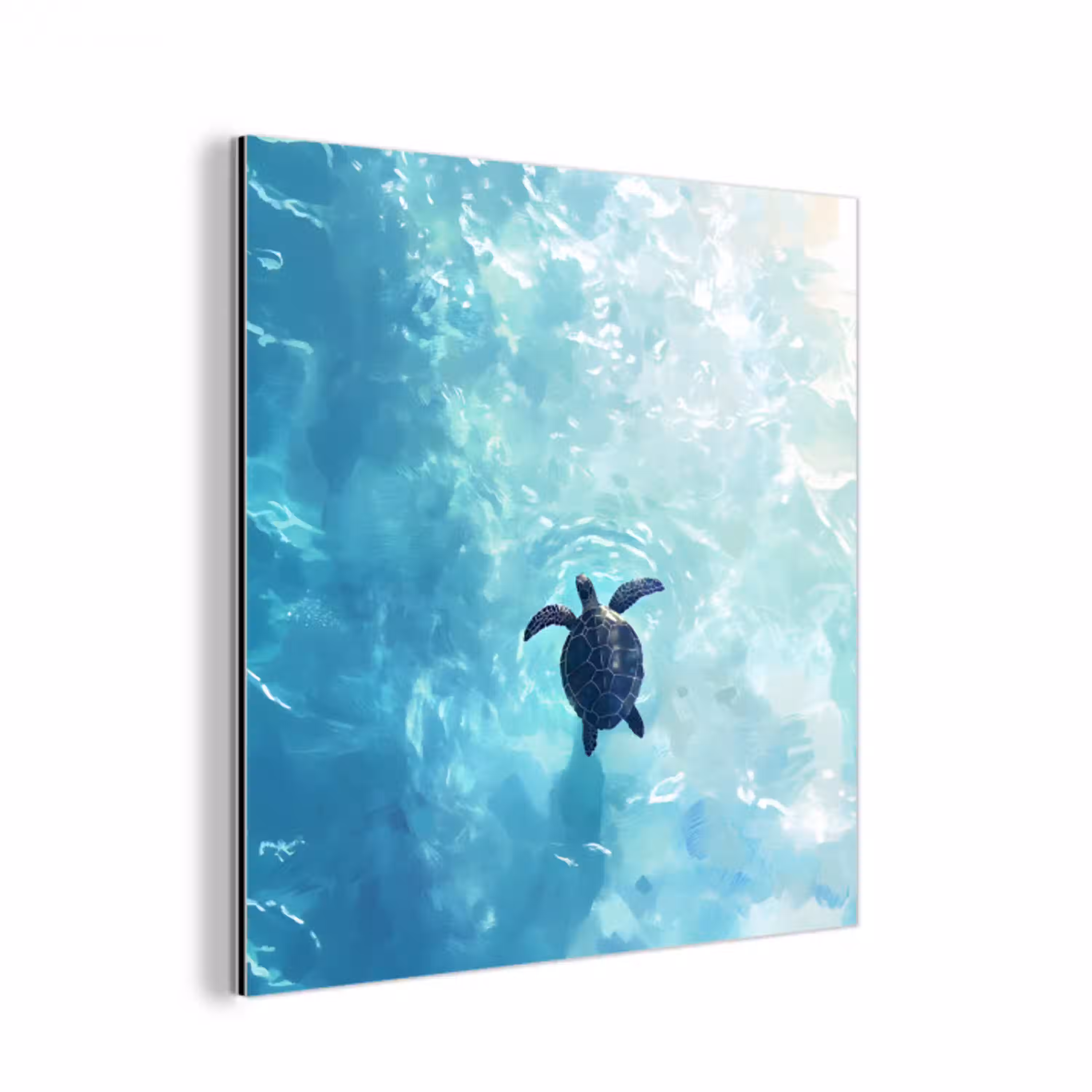 Schildpad - Zee - Blauw - Schittering aluminium wit klein -3d
