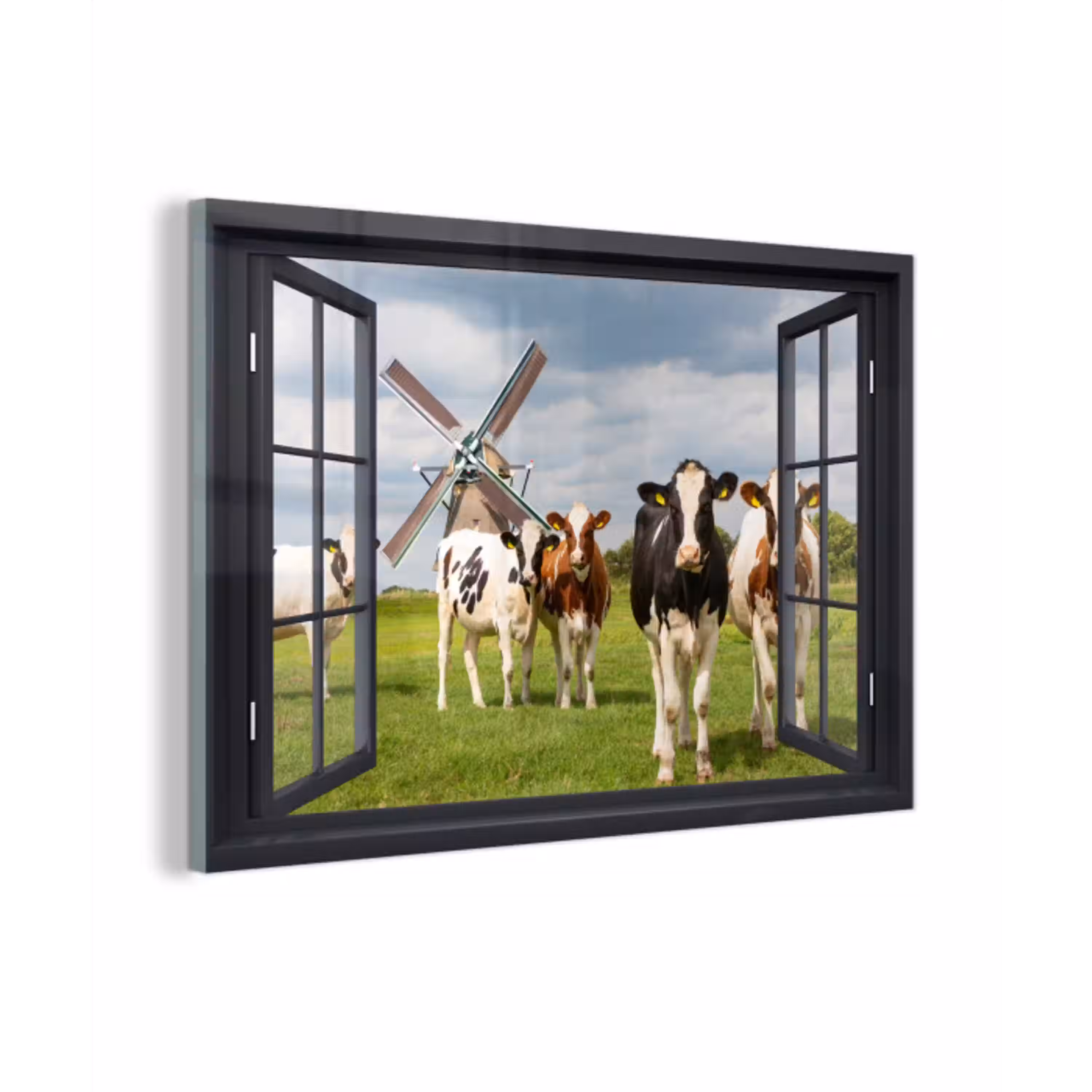 Doorkijk - Koe - Molen - Koeien - Weiland - Gras - Groen plexiglas 5mm klein -z3d