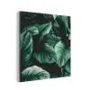 Jungle - Bladeren - Tropisch - Planten - Natuur aluminium wit klein -3d