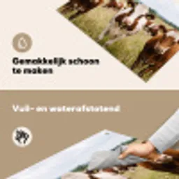 Koeien - Portret - Weide - Boerderij - Nieuwsgierig Inductie beschemer met haakjes klein -ky-schoon-nl