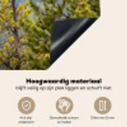 Uil - Oehoe - Bomen - Natuur Inductie beschemer met haakjes klein -ky-onderkant-nl