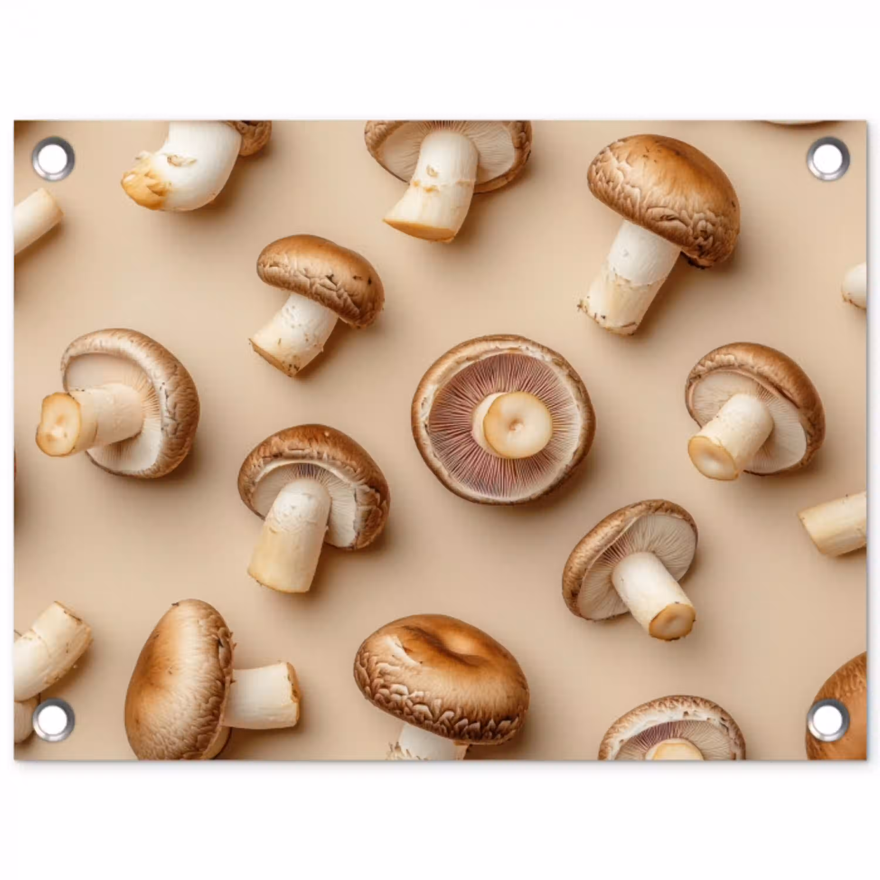 Kastanje Champignons - Beige tuinposter los doek klein -3d