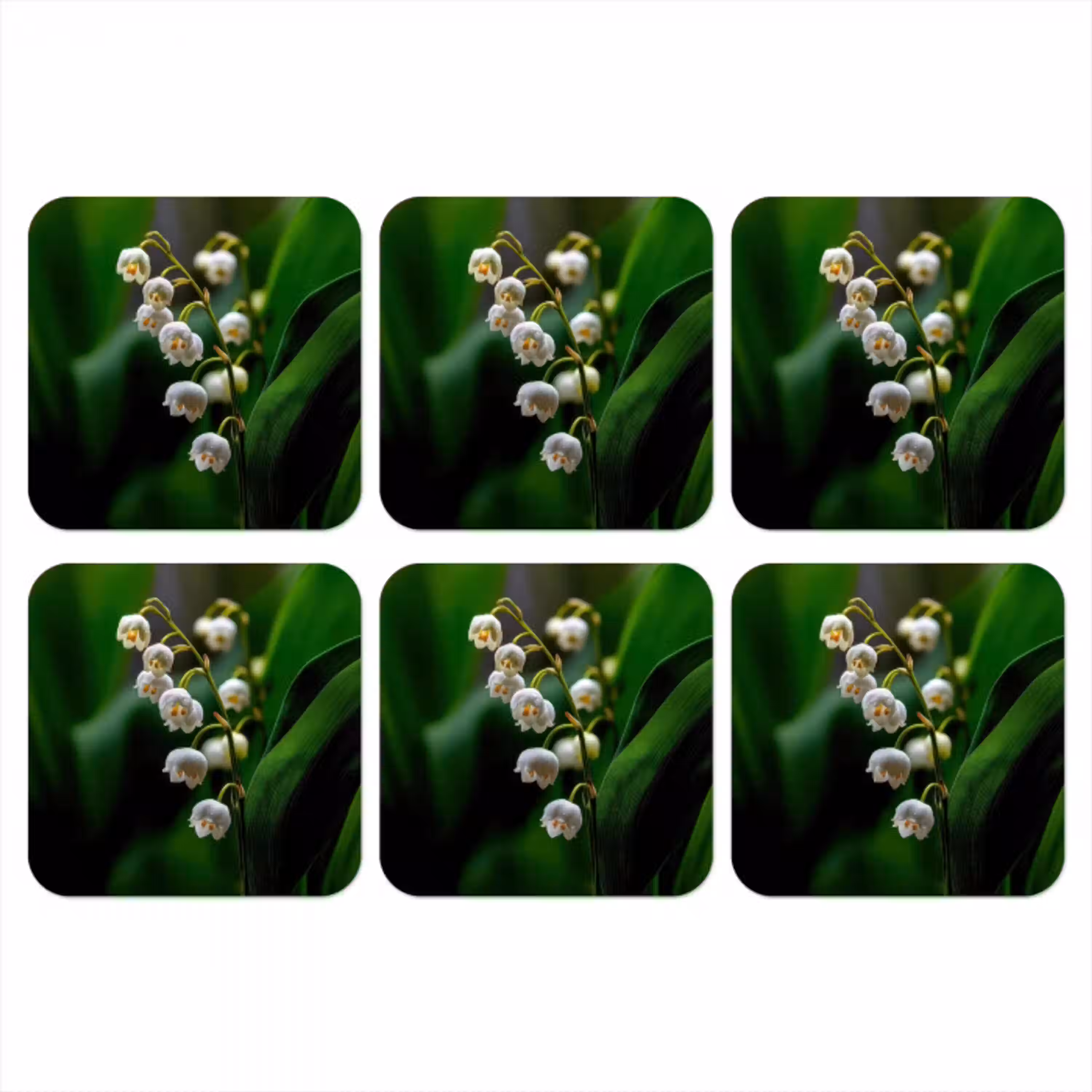 Bloemen - Wit - Bladeren - Lelietjes onderzetter kurk middel -3d