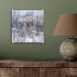 Schermbloem - Rijp - Kristallen - Winter - Delicaat plexiglas 5mm klein -sfeer3