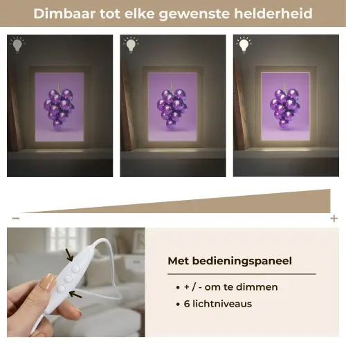 Druif - Disco - Glitter - Paars Light Box met kabel (Tafellamp) klein -USP_dimbaarNL