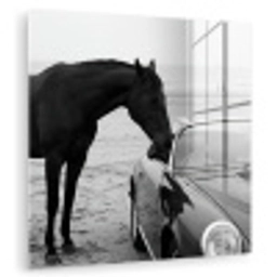 Paard - Auto - Zwart - Wit plexiglas 5mm klein -zzzproduct_nieuw