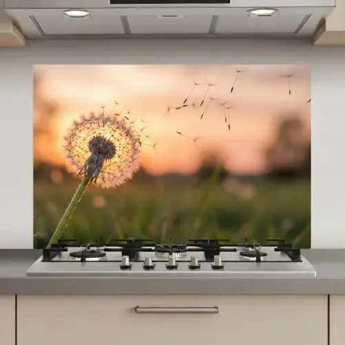 Paardenbloem - Zonsondergang - Veld keuken achterwand spatscherm klein -3d_website