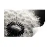 Paardenbloem - Zwart - Wit Muursticker klein -3d