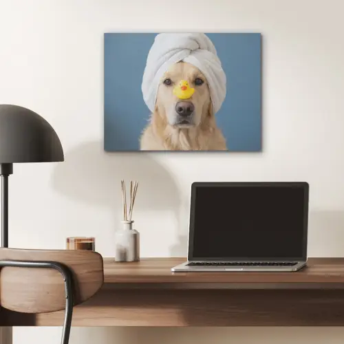 Hond - Badeend - Geel PET vilt klein -sfeer5
