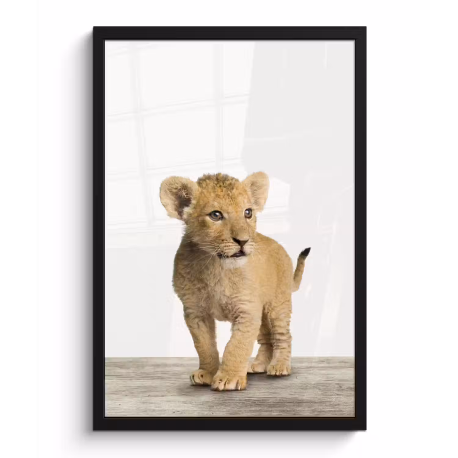 Poster met lijst - Leeuw - Welp - Kinderen - Jongens - Dieren - Meisjes