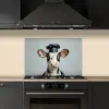 Koe - Zwart - Wit - Kok keuken achterwand spatscherm klein -sfeer1