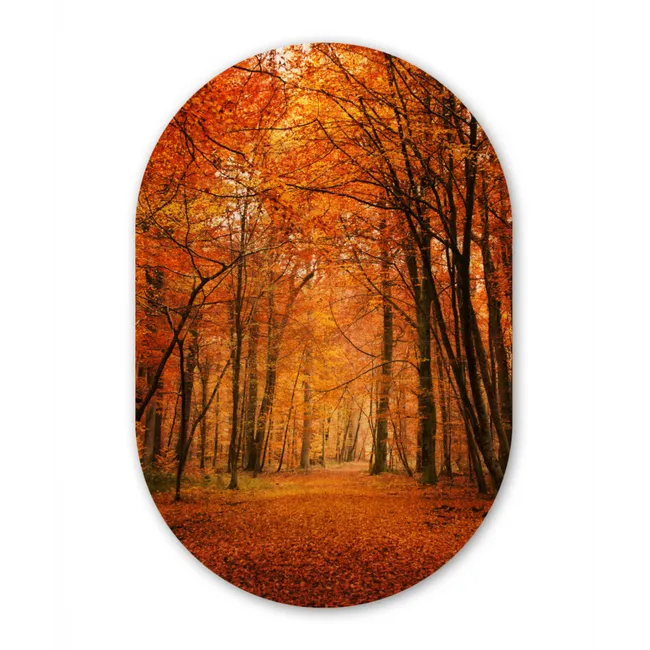 Herfst - Rood - Bos Wandcirkel Ovaal Forex klein -3d