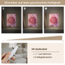 Dahlia - Bloem - Close up - Roze Light Box met kabel (Tafellamp) klein -USP_dimbaarDE