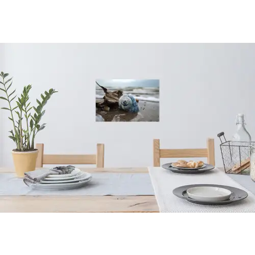 Schelp - Strand - Blauw - Zee Muursticker klein -eettafel