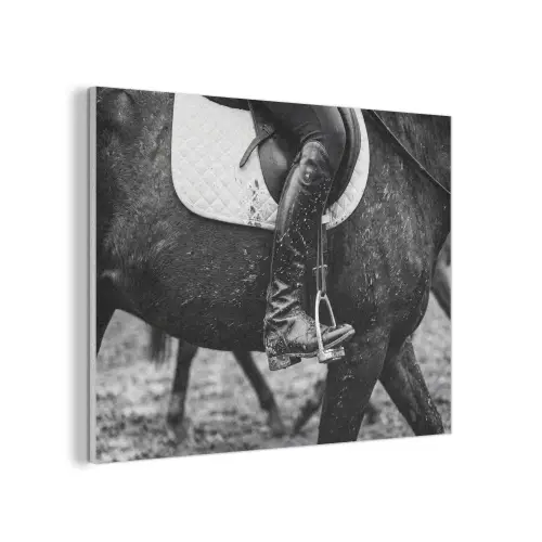 Paard - Sport - Zwart - Wit PET vilt klein -3d