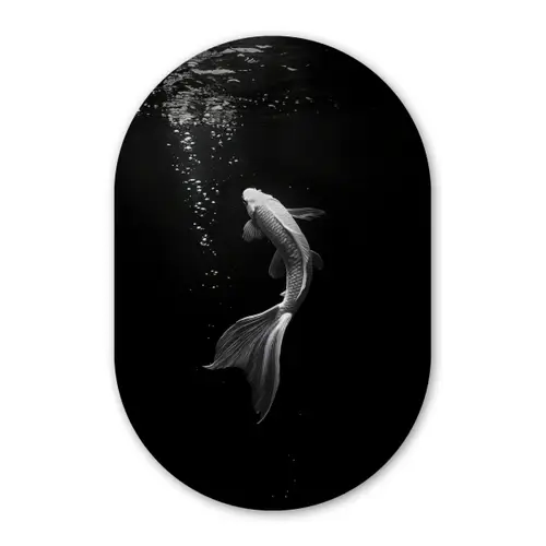 Koi - Vis - Wit - Zwart Wandcirkel Ovaal Glas middel -3d