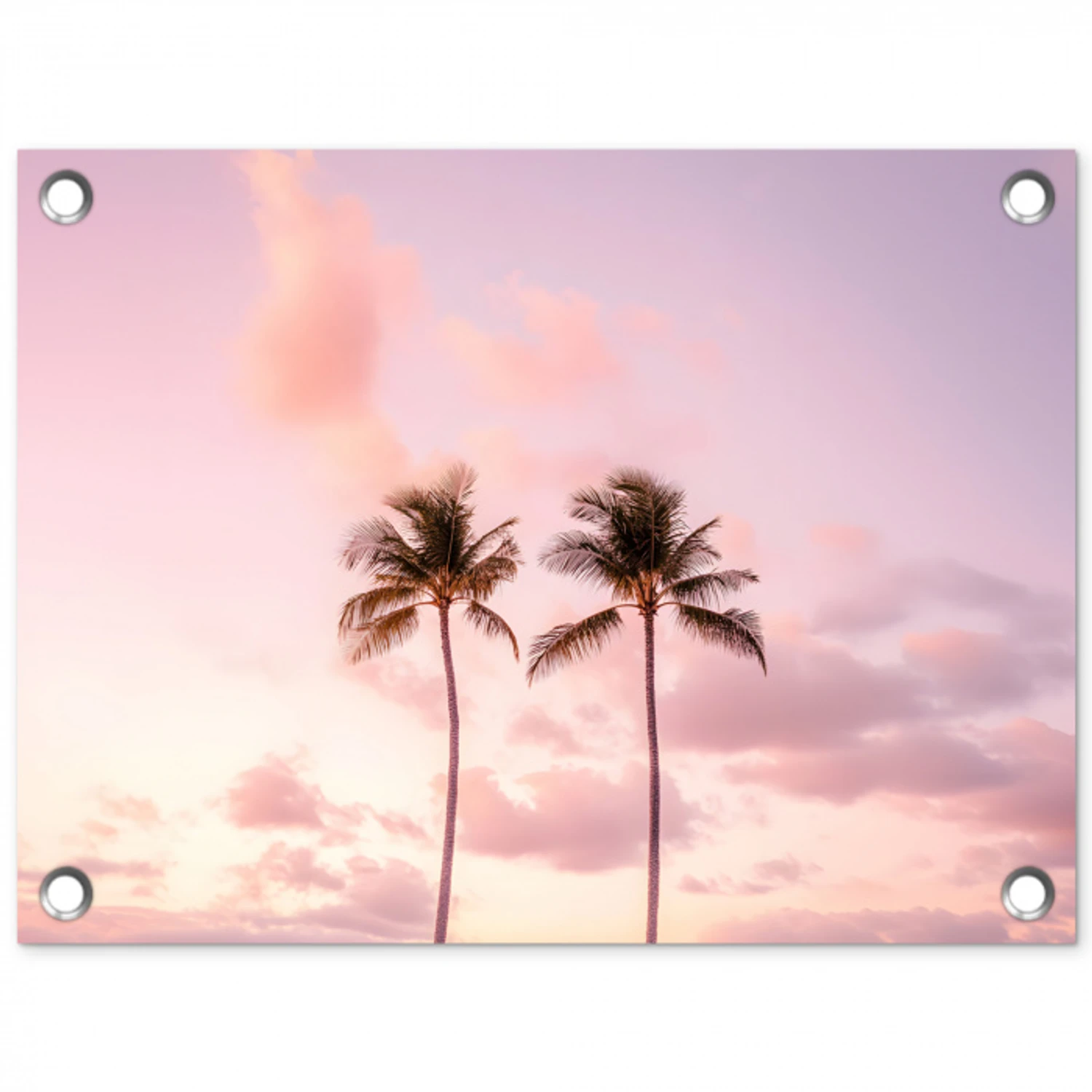 Palmbomen - Paars - Wolken - Lucht tuinposter los doek klein -3d