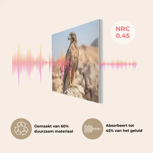 Valk - Vogel - Rots - Macht PET vilt klein -USP_NL