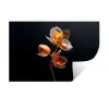Bloem - Orchidee - Oranje Muursticker klein -3d