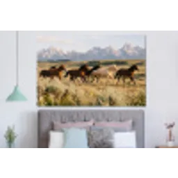 Paarden - Kudde - Bergen - Vrijheid - Wild forex 5mm xxl -slaapkamer