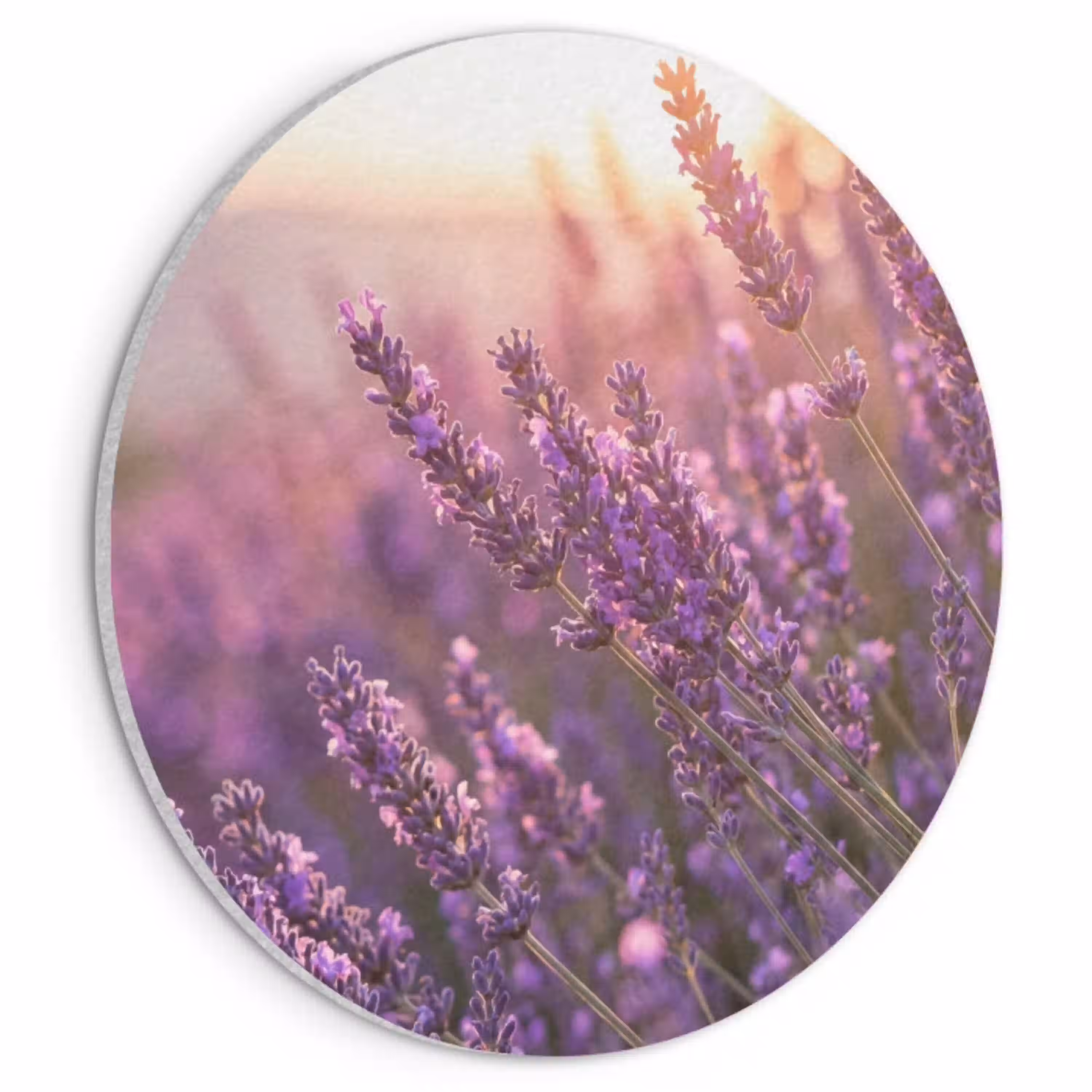 Lavendel - Paars - Zonlicht Akoestische PET Vilt - Rond klein -3d