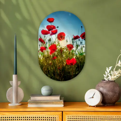 Klaprozen - Toscane - Zon - Rood - Blauw Wandcirkel Ovaal Forex klein -sfeer2
