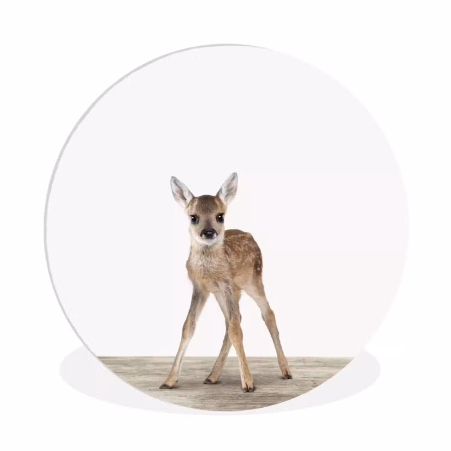 Muurcirkel - Hert - Baby hert - Dieren - Meisjes - Jongens - Kinderen