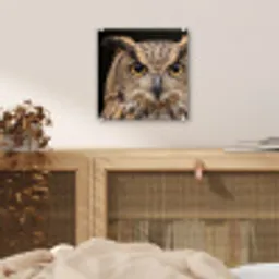 Oehoe - Uil - Portret - Bruin plexiglas 5mm klein -sfeer4
