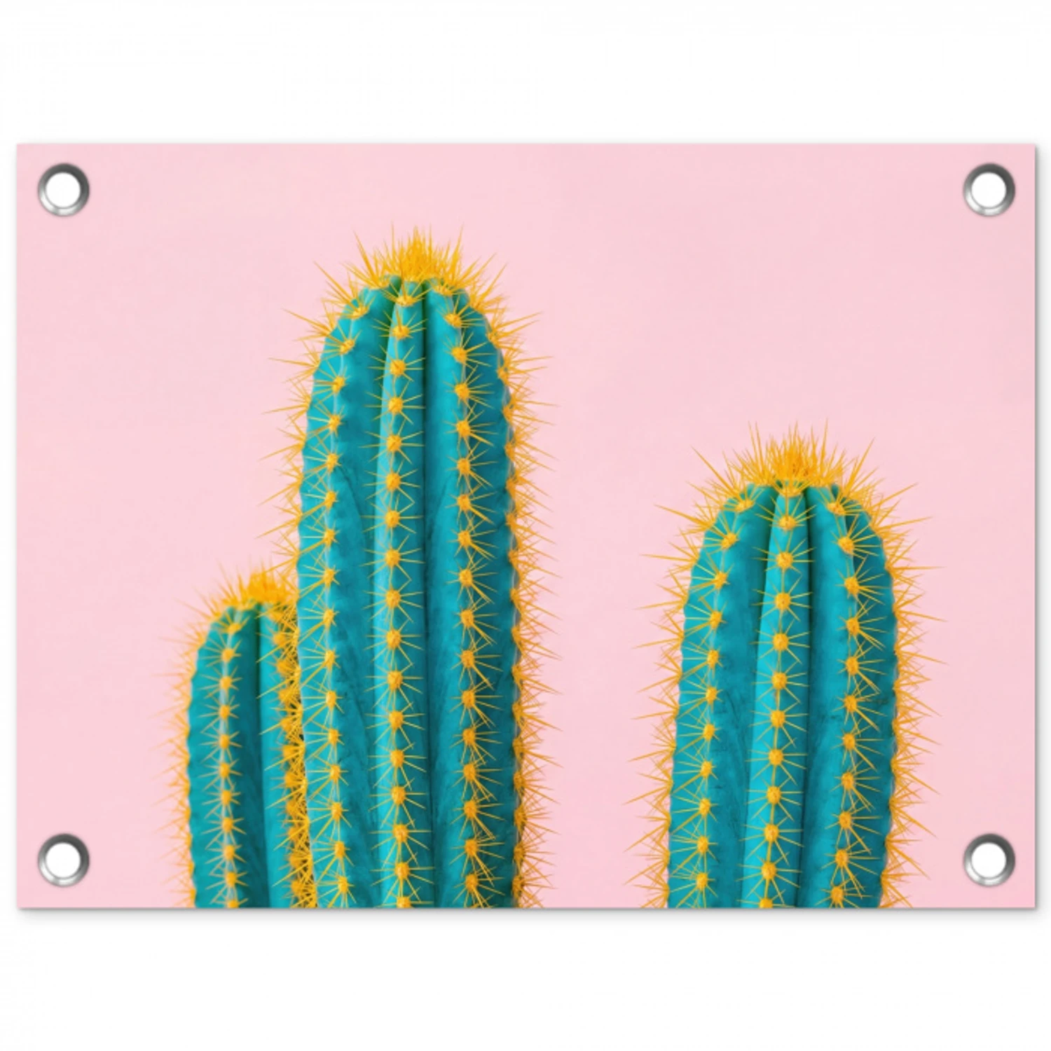 Cactussen - Modern - Pastel tuinposter los doek klein -3d