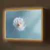 Paardenbloem - Wind - Blauw Light Box met batterij (Wandlamp) middel -z3d_website