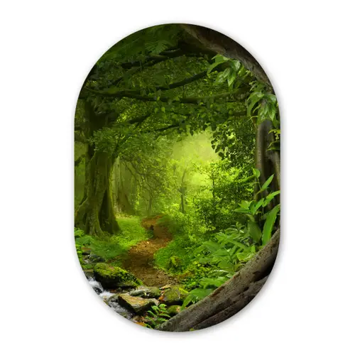Jungle - Groen - Natuur - Tropisch - Planten Wandcirkel Ovaal Forex klein -3d