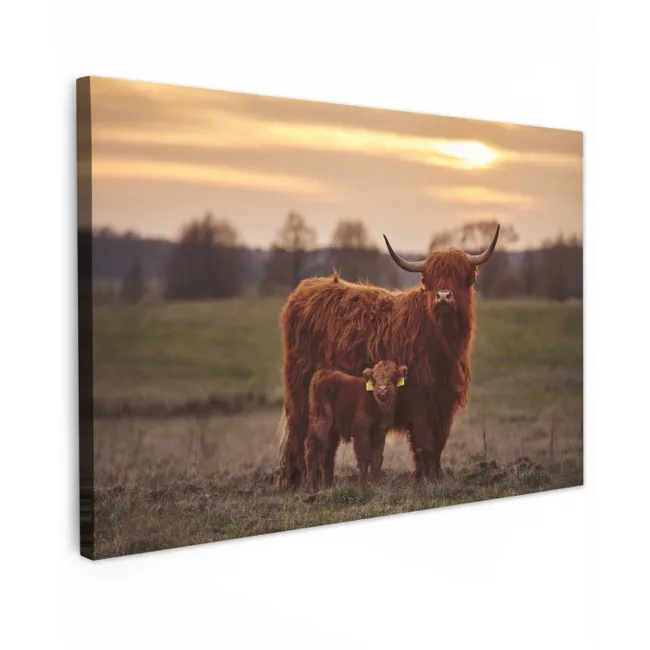 Schotse hooglander - Dieren - Landschap - Zonsondergang - Koe canvas 2cm klein -z3d