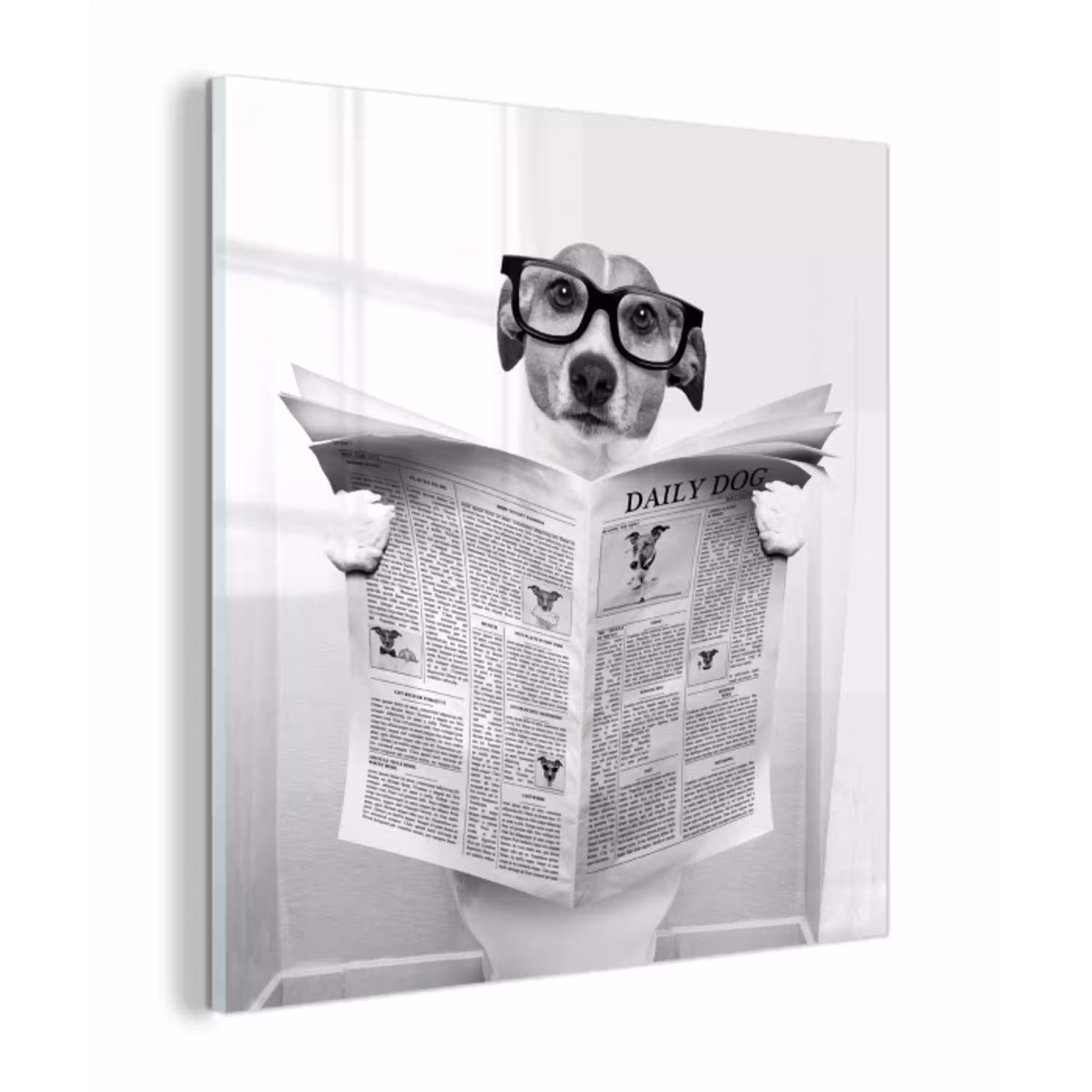 Hond - Krant - Toilet - Zwart wit - Dieren plexiglas 5mm klein -z3d