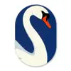 Zwaan - Wit - Snavel - Illustratie Wandcirkel Ovaal Forex klein -3d