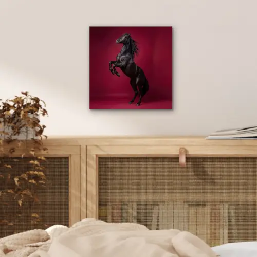 Hengst - Steigert - Rood aluminium wit klein -sfeer3