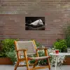 Paarden - Zwart - Wit - Kudde Tuinposter op houten frame 2 cm dik klein -sfeer3