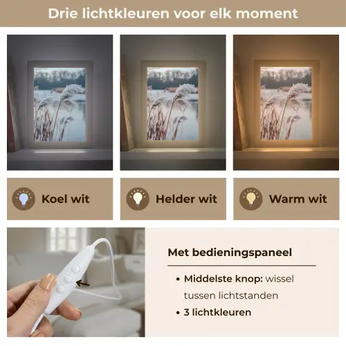 Riet - Gras - Natuur - Winter - Meer Light Box met kabel (Tafellamp) klein -USP_lichtkleurNL