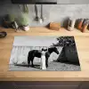Vrouw - Paard - Artistiek Inductie beschermer vinyl 3mm klein -sfeer5