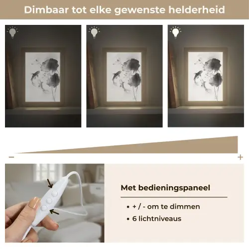Lotusbloemen - Vissen - Bladeren - Zwart Light Box met kabel (Tafellamp) klein -USP_dimbaarNL