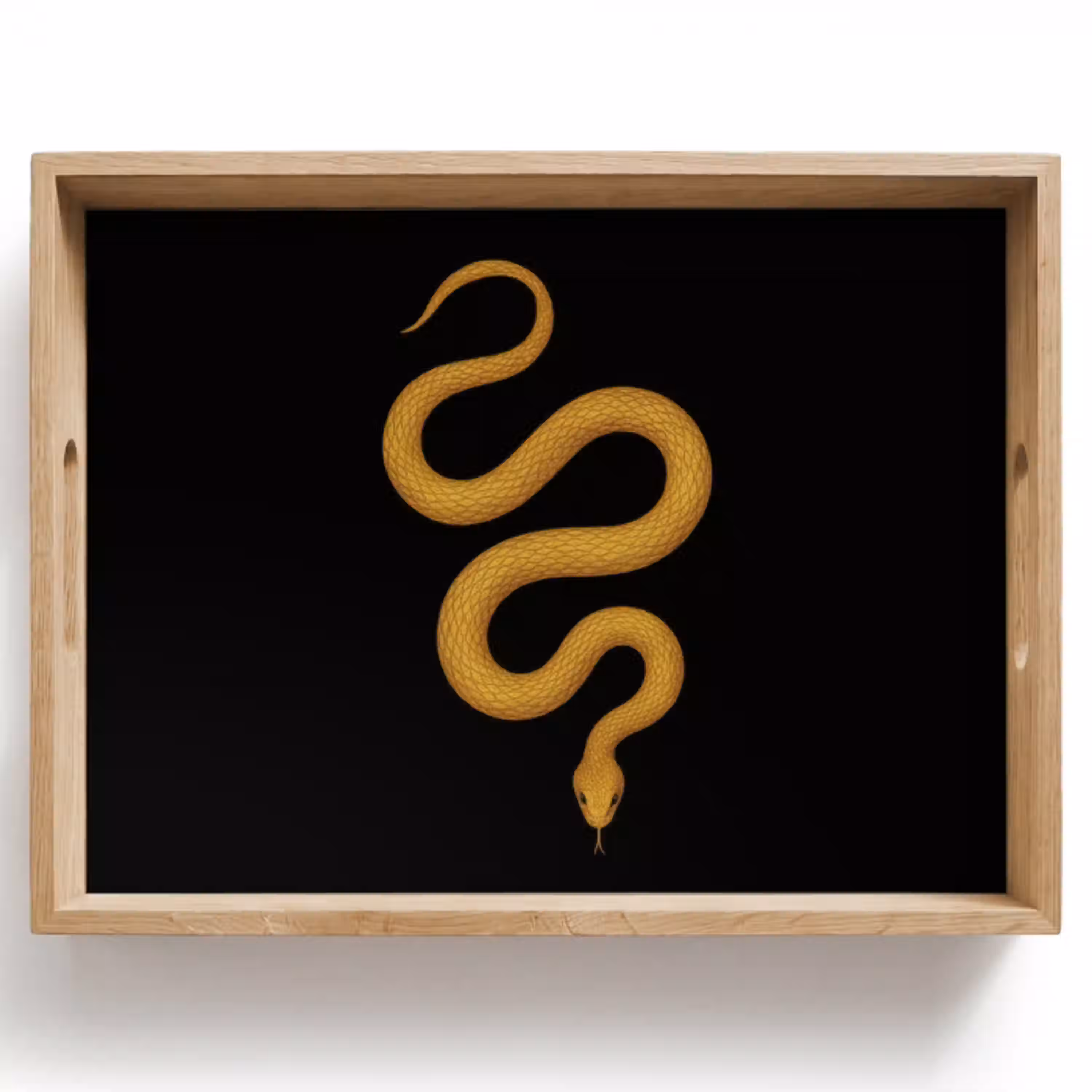 Slang - Minimalistisch - Goud Dienblad Rechthoek middel -z3d_shopping