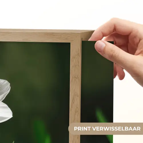 Narcis - Bloem - Wit - Grassprieten Light Box met batterij (Wandlamp) middel -USP_websiteprintNL