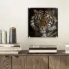 Tijger - Wilde dieren - Portret plexiglas 5mm klein -sfeer1