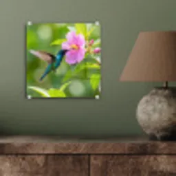 Kolibrie - Bloem - Natuur - Groen plexiglas 5mm klein -sfeer3