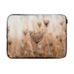 Schermbloem - Droogbloem - Winter - Beige - Minimalistisch laptophoes neopreen klein -3d