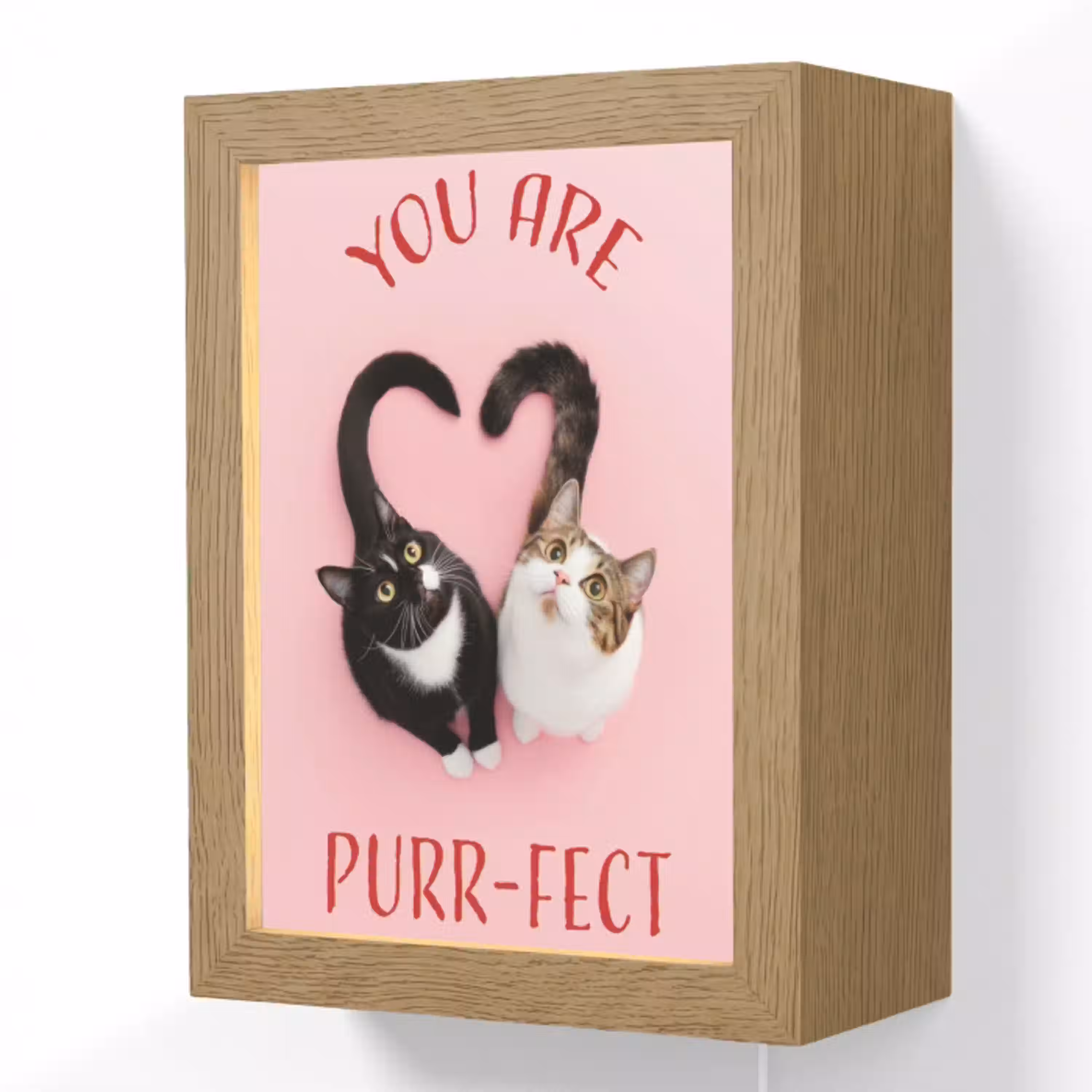 Kat - Hart - Tekst - Valentijn Light Box met kabel (Wandlamp) klein -3d