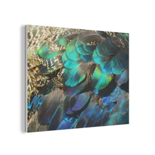Veren - Pauwveren - Pauw - Blauw - Kunst PET vilt klein -3d