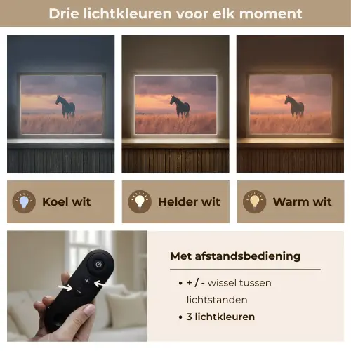 Paard - Wolken - Open veld Light Box met batterij (Wandlamp) middel -USP_lichtkleurNL