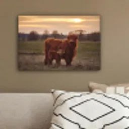 Schotse hooglander - Dieren - Landschap - Zonsondergang - Koe canvas 2cm klein -sfeer3