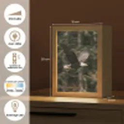 Zeearend - Vliegen - Bos - Natuur Light Box met kabel (Kinderlampje) klein -USP_FR